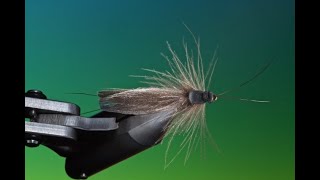 Fly tying a Giant stonefly dry fly with Barry Ord Clarke [upl. by Eirised242]