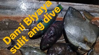 Episode 7  Jackpot Dami pang ulam PRACTICE MAG VOICE OVER 😂😂😂  spearfishing Philippines [upl. by Lilaj209]