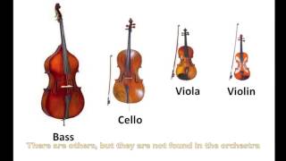 Instruments of the OrchestraStrings Part 9  Listening Examples [upl. by Valene]