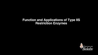 Function and Application of Type IIS Restriction Enzymes [upl. by Anwadal]