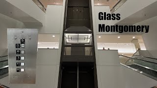 Glass Montgomery Hydraulic Elevator in Dillards at Independence Center in Independence MO [upl. by Hilton]