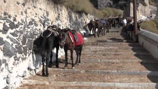 Santorini donkey trail [upl. by Ciaphus127]