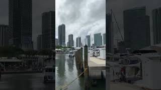 travel miami bayside florida trip amazing nice views trendingshorts grateful viralshorts [upl. by Zenobia]