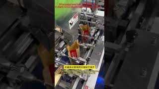 Automatic selfstanding bag packing machine with zipper machine factory [upl. by Nauwaj502]