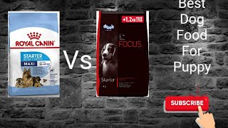 Royal Canin Vs Drools Focus [upl. by Attalanta]