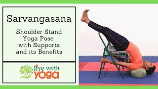 Sarvangasana Steps and Benefits with Support  Therapeutic Iyengar Yoga [upl. by Jecoa774]