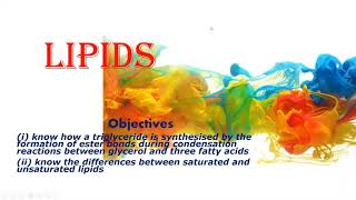 Lipids  Biology AS Edexcel [upl. by Amos]