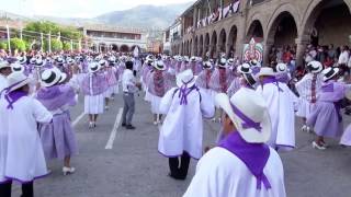 Comparsa Hospital Regional de Ayacucho 2017 [upl. by Klinges38]