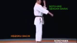 平安三段 PinAn Sandan kata  Wadoryu [upl. by Hynes]