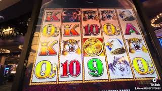 Morongo Casino Been a while I haven’t played this Let’s see how it’s going to treat me [upl. by Oletha]