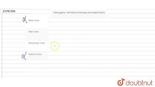 Heterozygosity  dominance of phenotype can be determined by [upl. by Leizahaj]