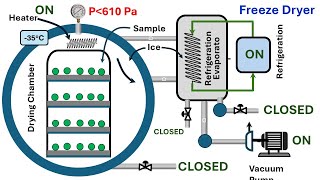 Operation of a MultiOperatingStage of FreezeDrying [upl. by Shumway658]