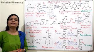 Class 03  Shikimic Acid Pathway Part 02  Shikimic Acid Pathway Steps with Chemical Reaction [upl. by Sellma925]