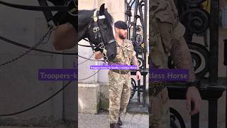 TROOPERS troopers kingsguard royalhorse shorts youtubeshorts amazing [upl. by Aneeles]