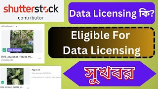 What is data licensing in Shutterstock  contributor fund  photo sales  সাটারস্টক ডাটা লাইসেন্সইং [upl. by Ahtanoj]