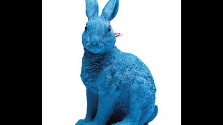 Chinese Astrology Water Rabbit [upl. by Clevey]