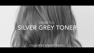 How to get a Perfect Silver Grey Toner using Fanola [upl. by Ogilvy]