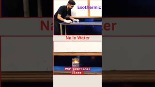 Exothermic reaction Sodium Na in water  Blast science scienceexperiment [upl. by Alyacim613]