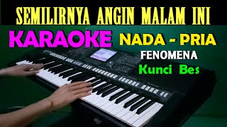 TIADA YANG LAIN  Fenomena  KARAOKE Nada Pria HD [upl. by Trillby545]