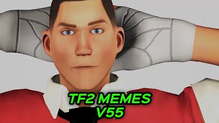 TF2 MEMES V55 [upl. by Nnaeel]