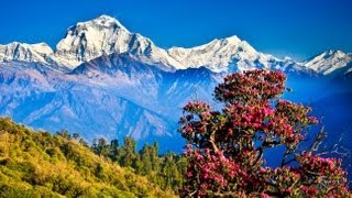 The Most Beautiful Place Pokhara Nepal  世界一美しい町、ポカラ Trekking In Nepal [upl. by Aliuqat]