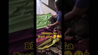 ✅ Blouse la test aa 🥴😲 plz comment love creator saree blouse shortvideo trending bgm [upl. by Htebazie787]