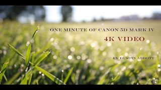 One Minute of Canon 5D Mark IV 4K Video [upl. by Cohin]