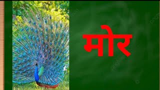 ओ की मात्रा वाले वर्ण और शब्द   How to use hindi Vowel  आओ सीखें मात्रा O ki Matra [upl. by Jaquelyn]