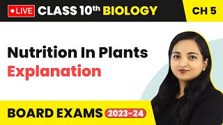 Life Processes Nutrition In Plants  Explanation  Class 10 Biology Chapter 5 LIVE [upl. by Marja]