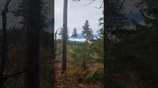 View from the outhouse on the Olympic Peninsula [upl. by Schilling]