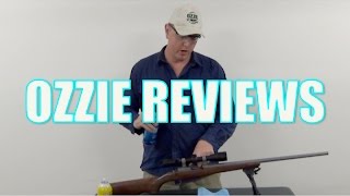 Beginner Basics 1 How to Clean Your Rifle [upl. by Annadiana]