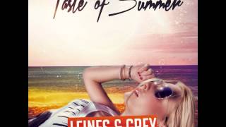 Leines amp Grey feat Labeille  Taste of Summer The One Remix TEASER [upl. by Lapo7]