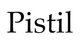 How to Pronounce Pistil [upl. by Damaris]