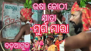 Usha kothi jatra video badaagula ganjam ମୂର୍ଗମରା ଭିଡ଼ିଓ କୋଠୀ ଶାଳ ଭିଡିଓ [upl. by Arakahs]