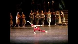 La Bayadere Svetlana Zakharova [upl. by Ymmor]