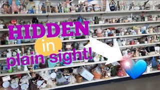 Hidden in Plain Sight  Shop Along With Me  Goodwill Thrift Store [upl. by Normalie]