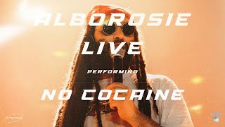 Alborosie amp Shengen Clan  No Cocaine Live  Paris Bataclan 2022 [upl. by Tiraj]