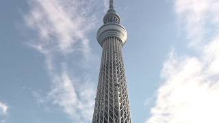 The EarthquakeProof Tower in Japan  Secret Revealed [upl. by Aivilys422]