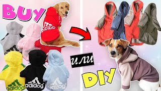 BUY или DIY  Тёплая толстовка для собаки своими руками  подробная выкройка [upl. by Esyli]