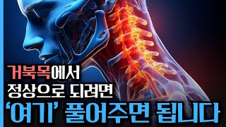 거북목  어깨 통증 원인은 이곳에 있었다 그렇다면 치료의 마스터키는 [upl. by Lleirbag]