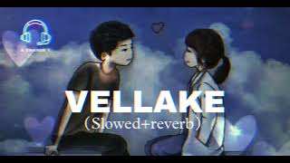 Vellake slowedreverb 1k 1million viral [upl. by Anyg968]