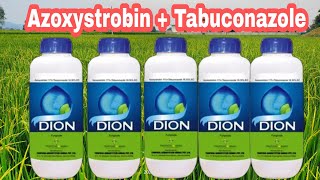 Dion fungicide ।azoxystrobin  Tabuconazole use।।use। price। Dose। [upl. by Anilyx]