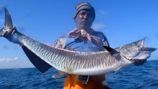 MONSTER KING FISH CATCHING AT SEA  HANDLINE FISHING [upl. by Rednave]