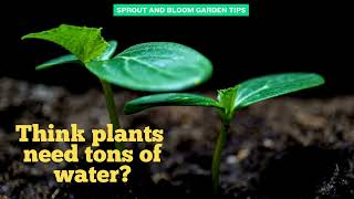 Think plants need tons of water gardening gardeningtips garden [upl. by Braca379]