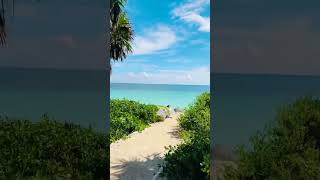 Lo bello que es tulum en mexico 🇲🇽 tulum ciudaddemexico viralshort viajeros viralvideo [upl. by Ebanreb]