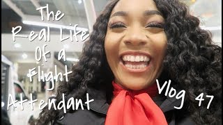 The quotReal Lifequot of a Flight Attendant  Vlog 47  I FLEW WITH A MARRIED COUPLE [upl. by Hett]