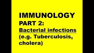 IMMUNOLOGY PART 2 Bacterial infections  TB and Cholera [upl. by Acisseg]