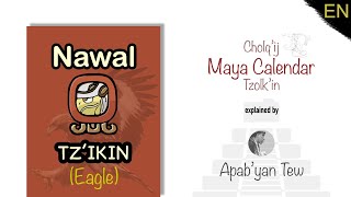 Maya Calendar nawal Tzikin Eagle Explained [upl. by Lumpkin]