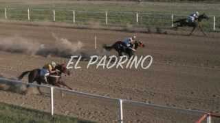 EL PADRINO  GRUPO LABERINTO [upl. by Burkitt]