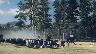 John Wayne  Helltown 1937 Western Colorized directed by Charles Barton  written by Zane Grey [upl. by Nedyaj]